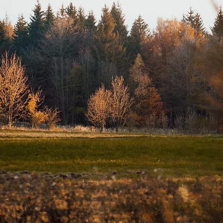 شاليه U Tesaku *