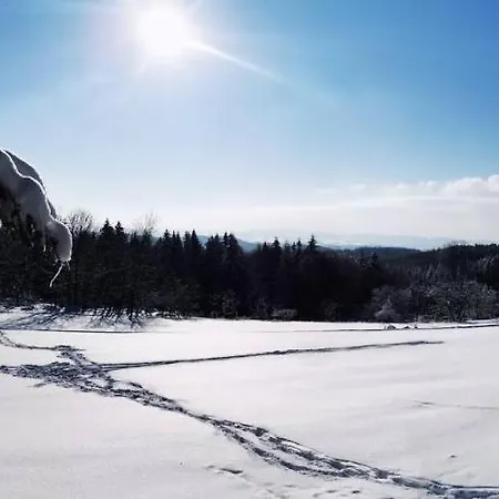 U Tesáku Chalet *